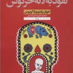 خرید کتاب نفوذ به لانه خرگوش اثر خوان پابلو ویلا لوبوس از نشر نون