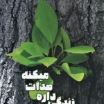 خرید کتاب زندگی داره صدات میکنه اثر احمد مظفری از نشر شما