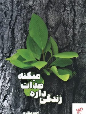 خرید کتاب زندگی داره صدات میکنه اثر احمد مظفری از نشر شما