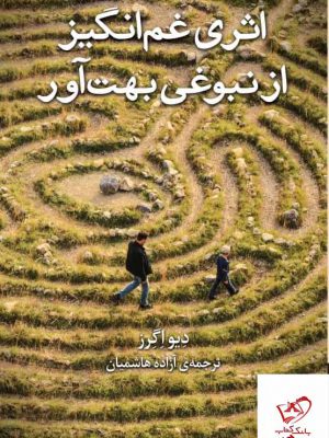 خرید کتاب اثری غم انگیز از نبوغی بهت آور از نشر برج