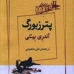 خرید کتاب پترزبورگ اثر آندری بیلی از نشر ژرف