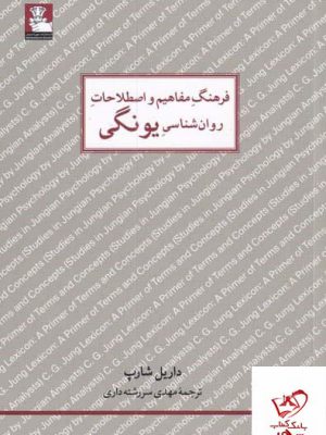 خرید کتاب فرهنگ مفاهیم و اصطلاحات روان شناسی یونگی نشر مهراندیش