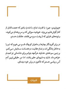 خرید کتاب با عشق کورت ترجمه گلاره جمشیدی نشر قطره