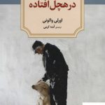 خرید کتاب در هچل افتاده اثر اورلی والونی از نشر دیدآور