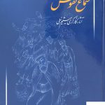 خرید کتاب سماع نقوش آثار نگار گری میثم نیلی از نشر میردشتی