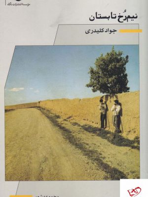 خرید کتاب نیم رخ تابستان اثر جواد کلیدری از نشر نگاه