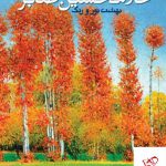 خرید کتاب گزیده آثار غلامحسین صابر (بهشت نور و رنگ) از نشر نظر