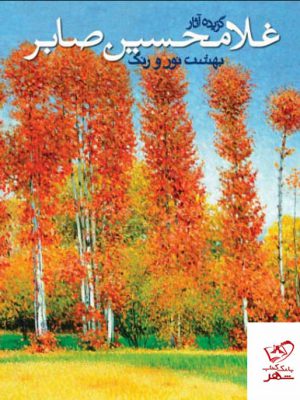 خرید کتاب گزیده آثار غلامحسین صابر (بهشت نور و رنگ) از نشر نظر