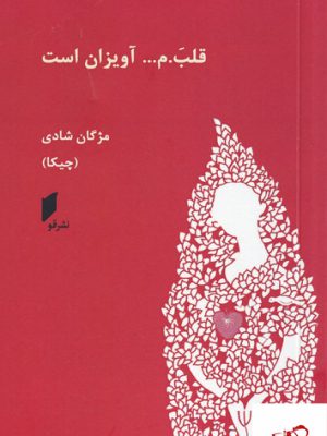 خرید کتاب قلب م قلبم آویزان است اثر مژگان شادی از نشر قو