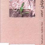 خرید کتاب نو آفرینی اثر آدام گرانت از نشر آریانا قلم