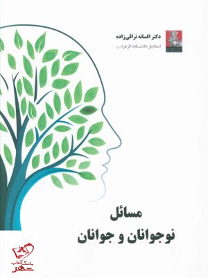 خرید کتاب مسائل نوجوانان و جوانان اثر افسانه نراقی زاده نشر مهراندیش