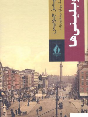 خرید کتاب دوبلینی ها اثر جیمز جولیس ترجمه بهاره یعقوب زاده