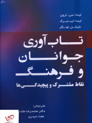 خرید کتاب تاب آوری جوانان و فرهنگ نقاط مشترک و پیچیدگی ها
