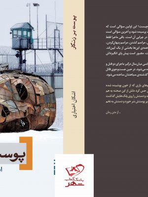 خرید کتاب پوست بر زنگار اثر اشکان اختیاری از نشر برج