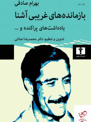 خرید کتاب بازمانده های غریبی آشنا اثر بهرام صادقی از نشر نیلوفر