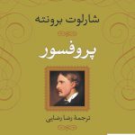 خرید کتاب پروفسور اثر شارلوت برونته نشر نی
