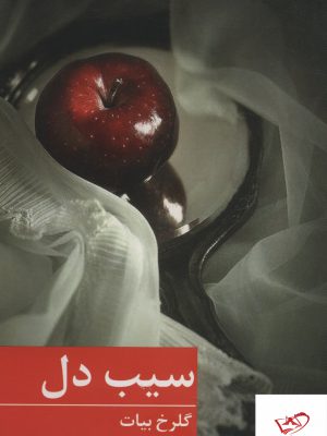 خرید کتاب سیب دل اثر گلرخ بیات نشر برکه خورشید