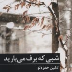 خرید کتاب شبی که برف می بارید اثر تکین حمزه لو نشر برکه خورشید