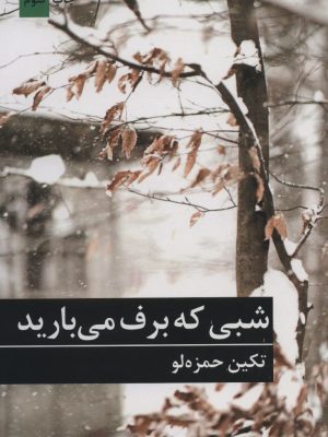 خرید کتاب شبی که برف می بارید اثر تکین حمزه لو نشر برکه خورشید
