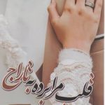 خرید کتاب قلب مرا برده به تاراج اثر شبنم سعادتی نشر شقایق