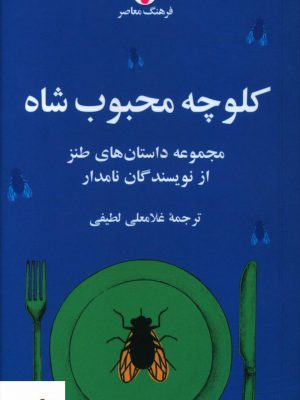 خرید کتاب کلوچه محبوب شاه مجموعه داستان های طنز از نشر فرهنگ معاصر