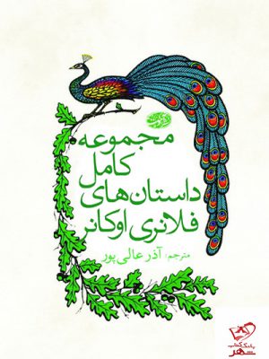 خرید کتاب مجموعه کامل داستان های فلانری اوکانر نشر آموت