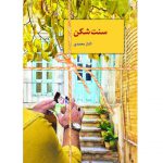 خرید کتاب سنت شکن اثر الناز محمدی از نشر سخن