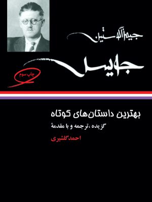 خرید کتاب بهترین داستان های کوتاه جیمز جویس از نشر نگاه