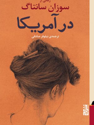 خرید کتاب درآمریکا رمانی از سوزان سانتاگ از نشر برج