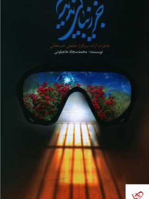 خرید کتاب جز زیبایی ندیدم از نشر بزنگاه