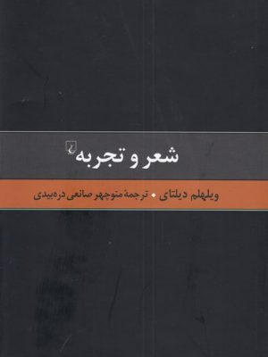 خرید کتاب شعر و تجربه اثر ویلهلم دیلتای نشر ققنوس