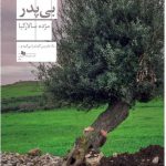 خرید کتاب بی پدر اثر مژده سالارکیا از نشر چشمه