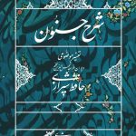 خرید کتاب شرح جنون اثر سید احمد بهشتی شیرازی