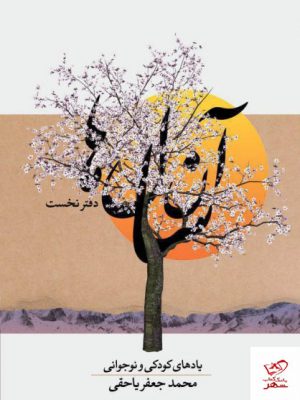 خرید کتاب آن سال ها دفتر نخست یادهای کودکی و نوجوانی از نشر معین