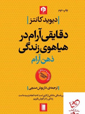 خرید کتاب دقایقی آرام در هیاهوی زندگی ذهن آرام از نشر روشنگران