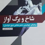 خرید کتاب شاخ و برگ آواز اثر دکتر غلامرضا بهرام پور از نشر خاموش