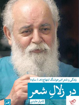 خرید کتاب در زلال شعر زندگی و شعر امیرهوشنگ ابتهاج از نشر ثالث
