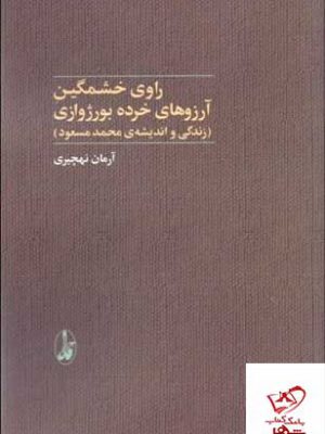 خرید کتاب راوی خشمگین آرزوهای خرده بورژوازی از نشر آگاه