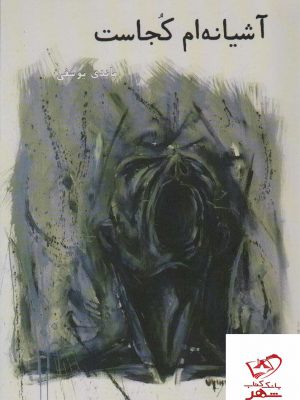 خرید کتاب آشیانه ام کجاست نوشته ماندی یوسفی از نشر توفیق آفرین