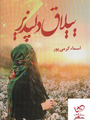 خرید کتاب ییلاق دلپذیر نوشته اسما کرمی پور از نشر شقایق