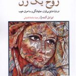 خرید کتاب روح یک زن اثر ایزابل آلنده از نشر مهراندیش