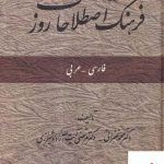 خرید کتاب فرهنگ اصلاحات روز فارسی عربی از نشر امیرکبیر