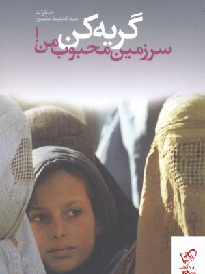 خرید کتاب گریه کن سرزمین محبوب من از نشر دامون
