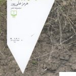 خرید کتاب که در نتوانستن برابریم دیگر اثر هرمز علی پور از نشر چشمه