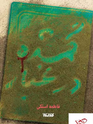 خرید کتاب گمشده در غبار اثر فاطمه استکی از نشر کتابستان معرفت