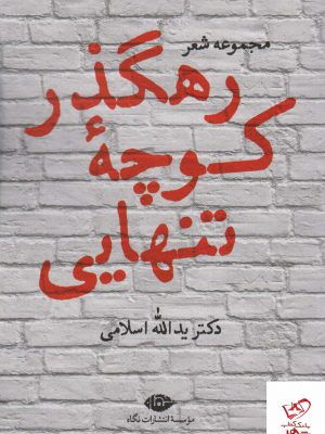 خرید کتاب مجموعه شعر رهگذر کوچه تنهایی دکتر یدالله سلامی نشر نگاه