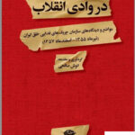 خرید کتاب در وادی انقلاب اثر انوش صالحی از نشر نگاه