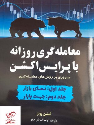 خرید کتاب معامله گری روزانه با پرایس اکشن اثر گلن وودز