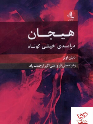 خرید کتاب هیجان درآمدی خیلی کوتاه اثر دیلن اونز از نشر لوگوس