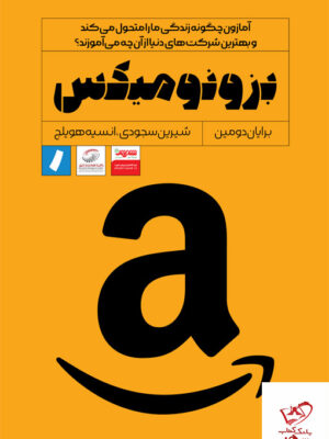 خرید کتاب بزونومیکس اثر برایان دومین از نشر راه پرداخت